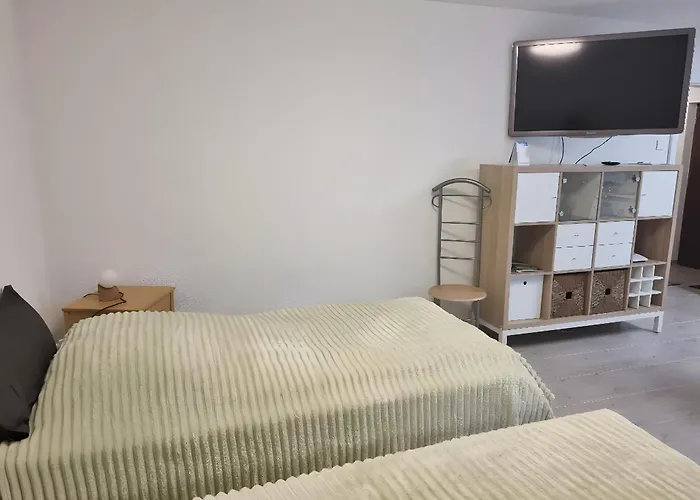 公寓 Rheinnaehe 巴特塞京根