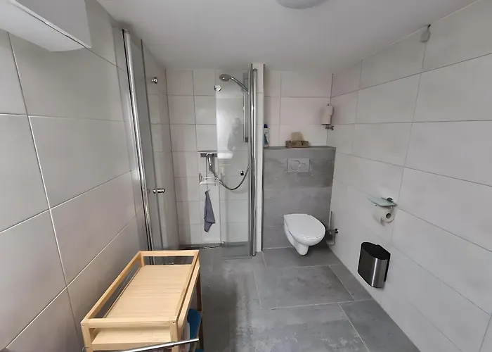 Rheinnaehe * 巴特塞京根